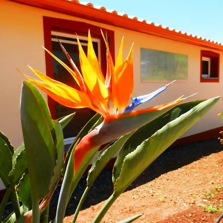 Au Petit Madere * 普拉泽里什