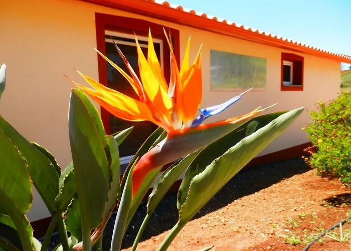 Au Petit Madere * Prazeres